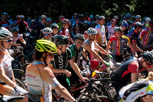 Tottn umzingelt von vielen anderer seiner Sorte